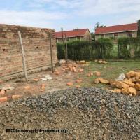 61921683_458559734970983_120613071197569024_n